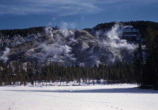 Roaring Mountain - Norris Geyser Basin Picture