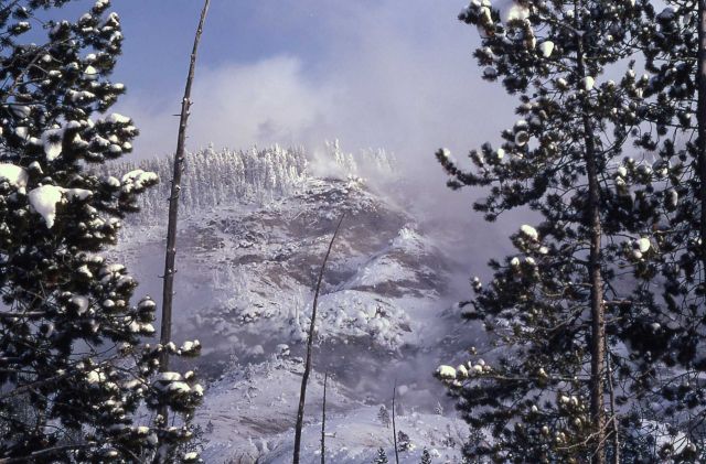 Roaring Mountain - Norris Geyser Basin Picture