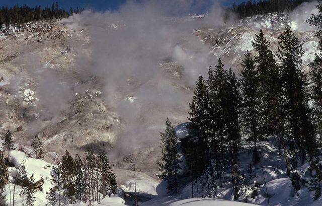 Roaring Mountain - Norris Geyser Basin Picture