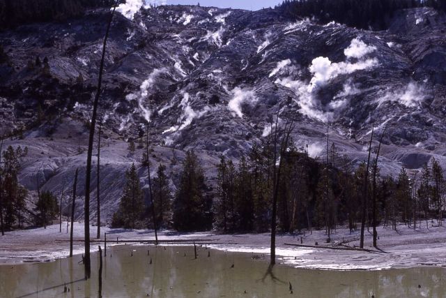 Roaring Mountain - Norris Geyser Basin Picture