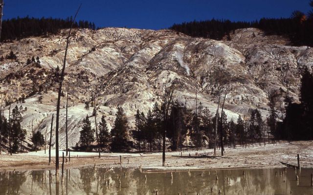Roaring Mountain - Norris Geyser Basin Picture