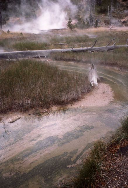 Artist Paint Pots Picture