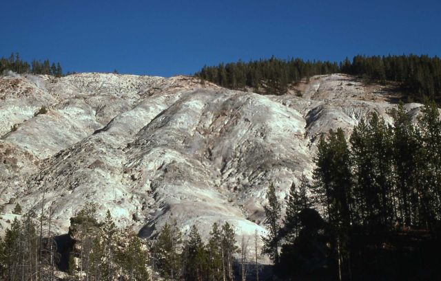 Roaring Mountain - Norris Geyser Basin Picture