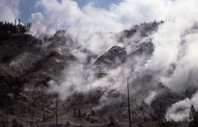 Roaring Mountain - Norris Geyser Basin Picture