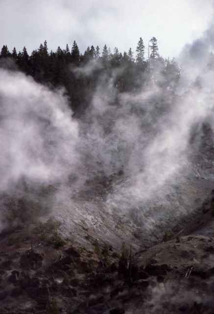 Roaring Mountain - Norris Geyser Basin Picture