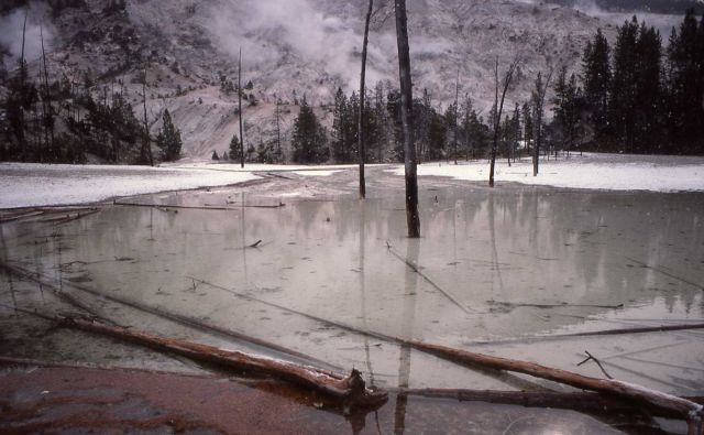 Roaring Mountain - Norris Geyser Basin Picture