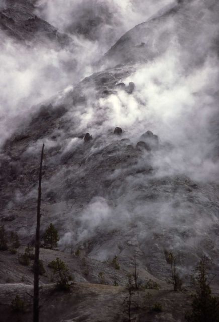 Roaring Mountain - Norris Geyser Basin Picture