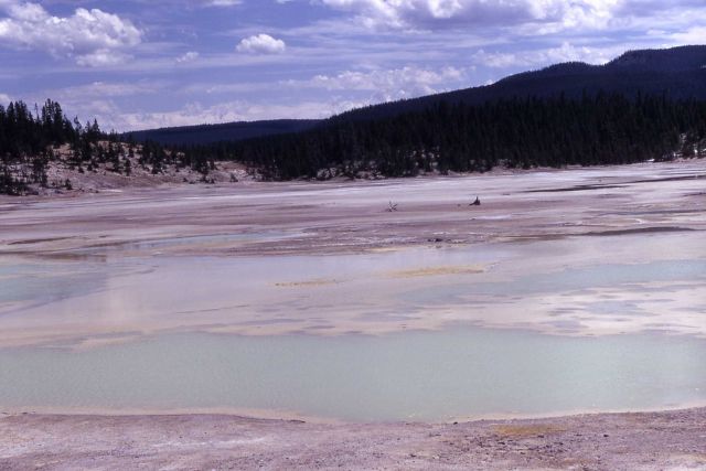One Hundred Spring Plain - Hot Springs, Norris Geyser Basin Picture