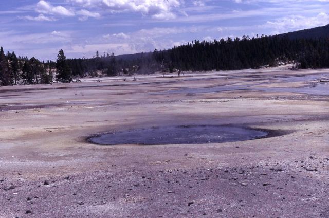 One Hundred Spring Plain - Hot Springs, Norris Geyser Basin Picture