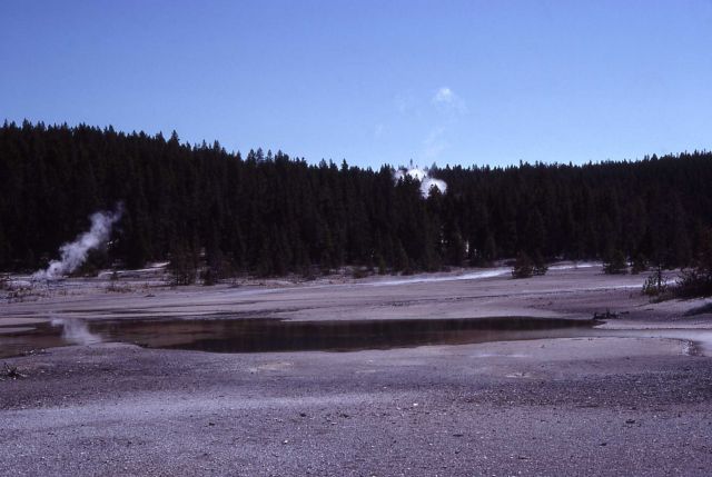 Back Basin looking toward Steamboat area - Norris Geyser Basin Picture