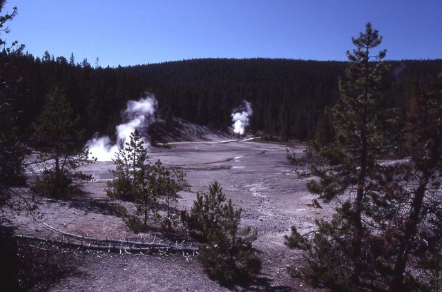 Back Basin - Norris Geyser Basin Picture