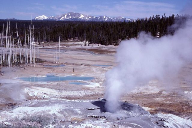 Porcelain Basin looking west to Mt. Holmes - Norris Geyser Basin Picture