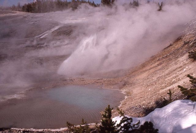 Incline Geyser erupting - Norris Geyser Basin Picture