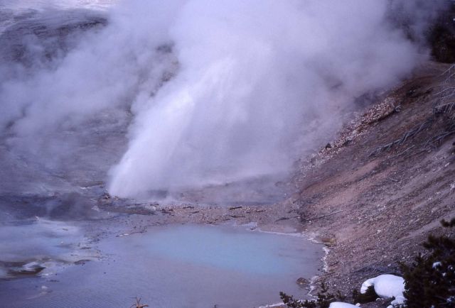 Incline Geyser erupting - Norris Geyser Basin Picture