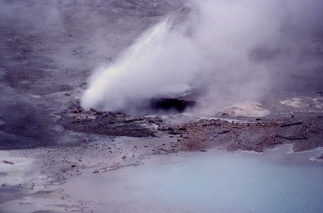 Incline Geyser erupting - close view with pool - Norris Geyser Basin Picture