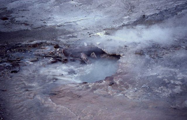 Close up view of Incline Geyser after eruption - Norris Geyser Basin Picture