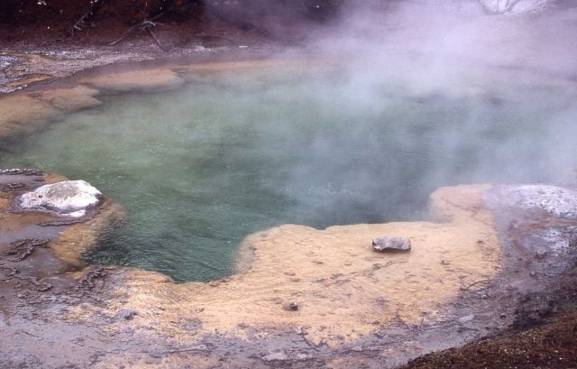 Emerald Spring - Norris Geyser Basin Picture