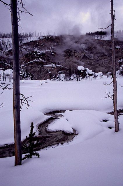 Roaring Mountain in winter - Norris Geyser Basin Picture