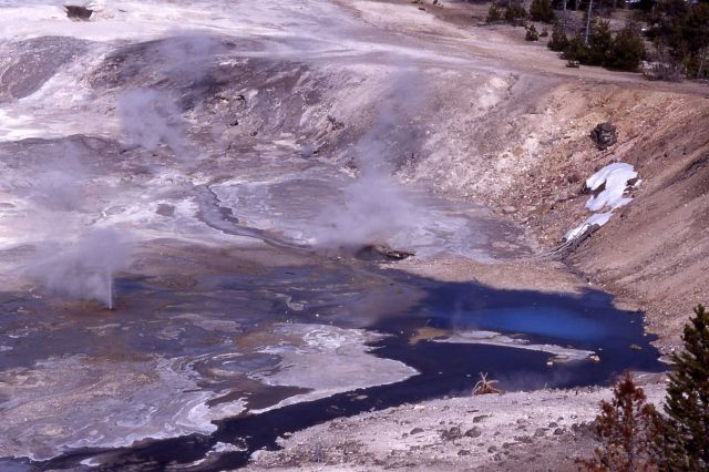 Porcelain Basin - Norris Geyser Basin Picture