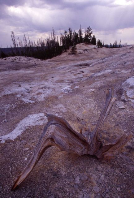 Monument Geyser Basin Picture