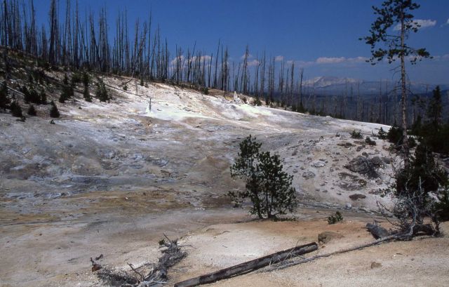 Monument Geyser Basin Picture