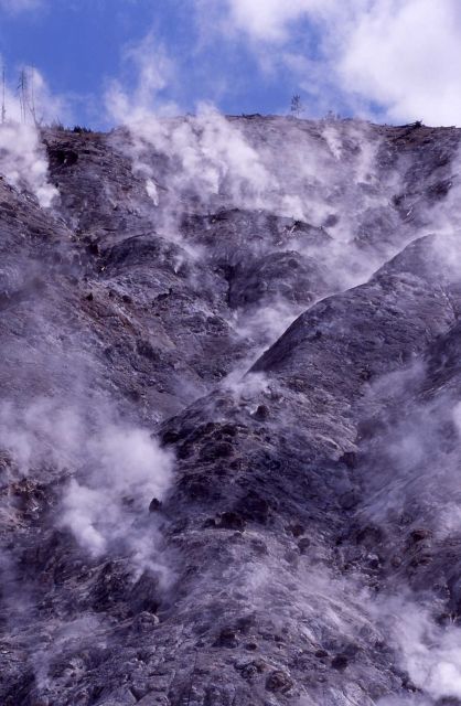 Roaring Mountain - Norris Geyser Basin Picture