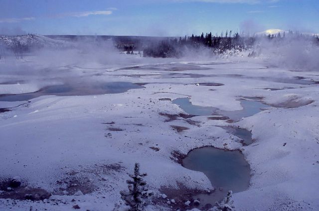 Norris Geyser Basin in winter Picture
