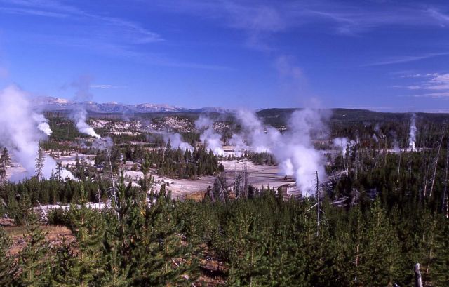 Back Basin - Norris Geyser Basin Picture