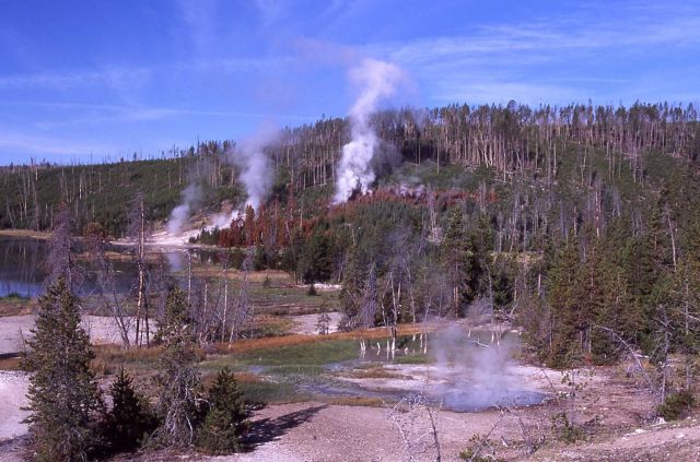 Thermal area adjacent to Nymph Lake Picture