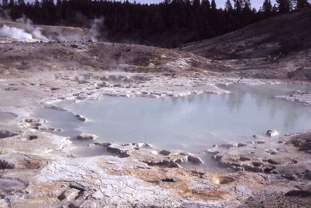 Porcelain Basin - Norris Geyser Basin Picture