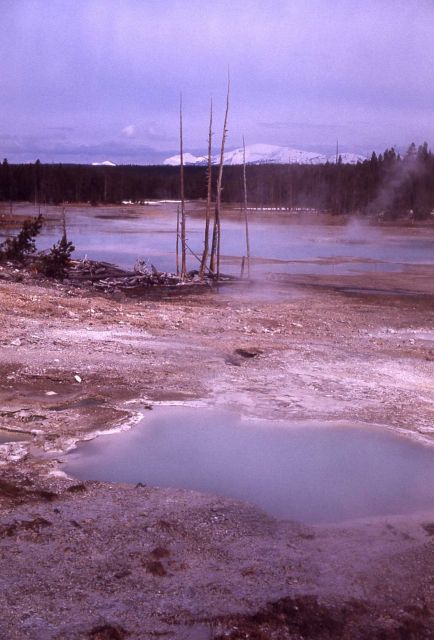 Porcelain Basin - Norris Geyser Basin Picture