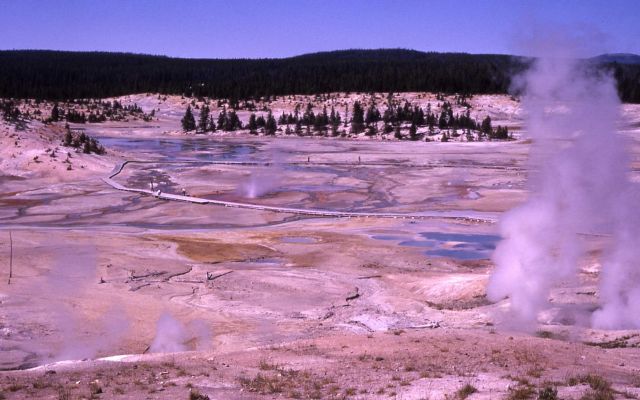 Porcelain Basin - Norris Geyser Basin Picture