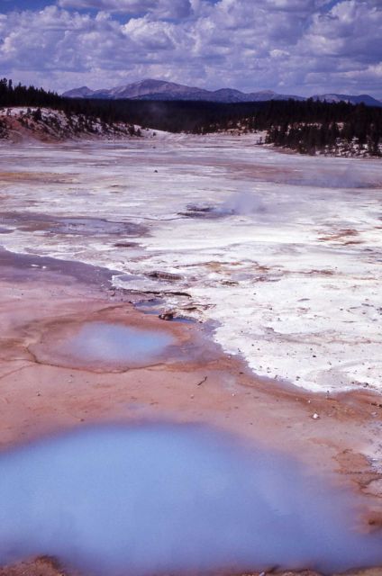 Porcelain Basin - Norris Geyser Basin Picture