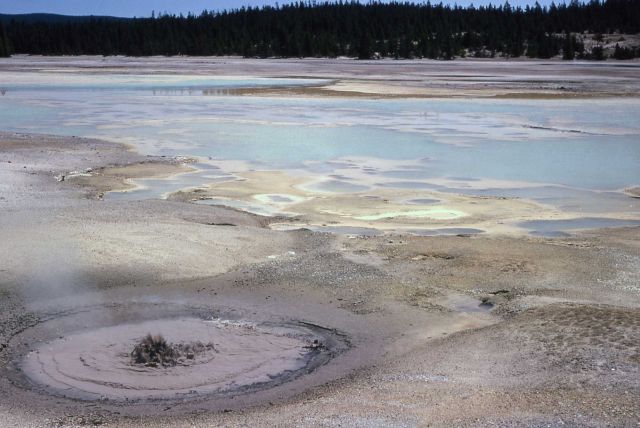 One Hundred Spring Plain - Hot Springs, Norris Geyser Basin Picture