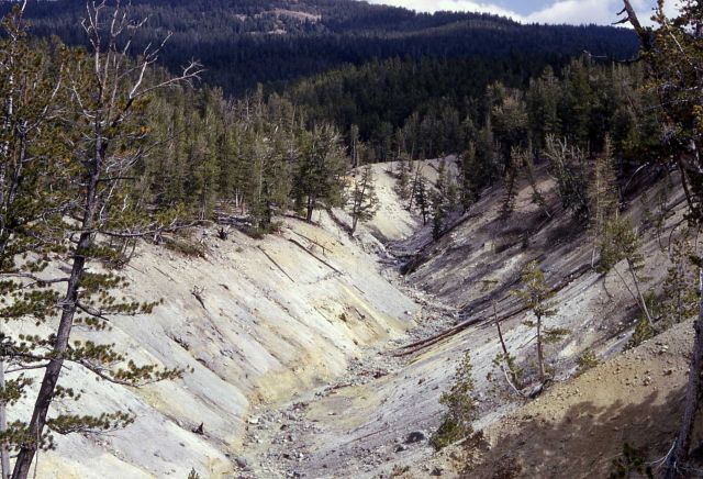 Brimstone Basin - Columbine Creek Picture