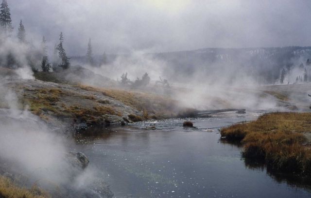 Shoshone Lake Geyser Basin Picture