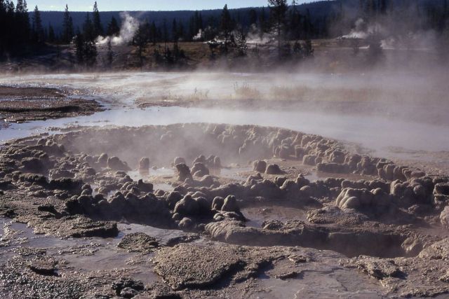 Shoshone Lake Geyser Basin Picture