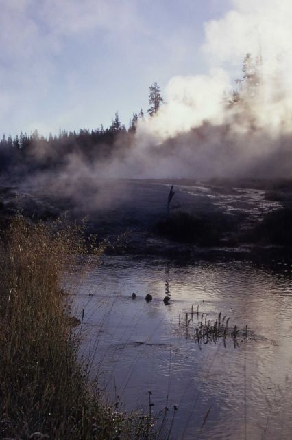 Shoshone Lake Geyser Basin Picture