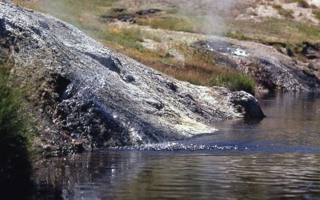 Shoshone Lake Geyser Basin Picture