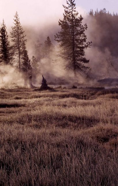 Shoshone Lake Geyser Basin Picture