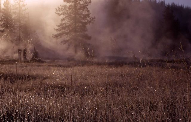 Shoshone Lake Geyser Basin Picture