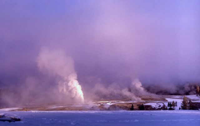 Upper Geyser Basin Picture