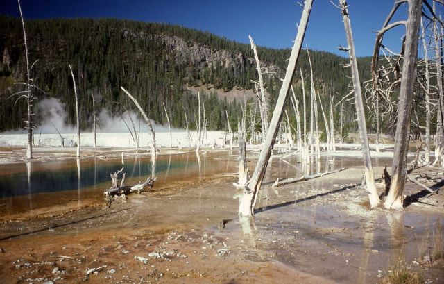 Black Sand Basin - Upper Geyser Basin Picture