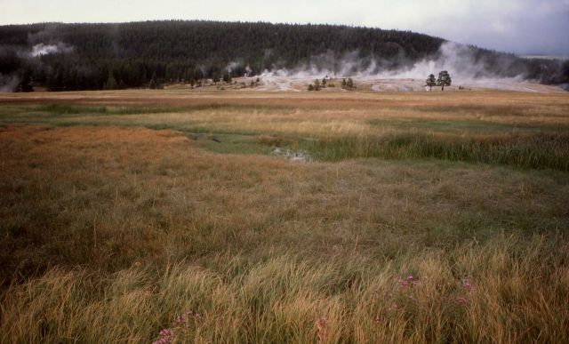 Rainy day - Upper Geyser Basin Picture