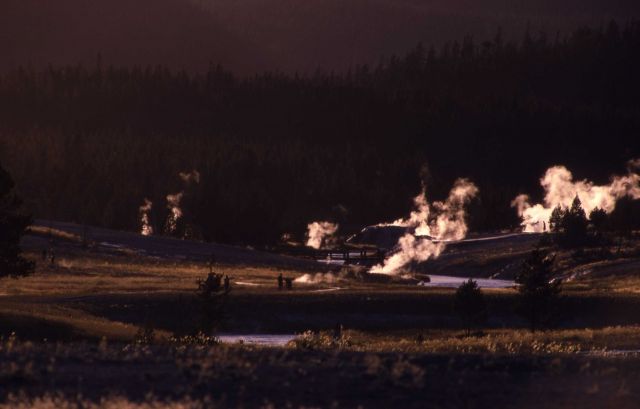 Upper Geyser Basin at dusk Picture