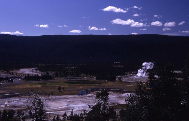 Upper Geyser Basin as seen from Observation Point Picture