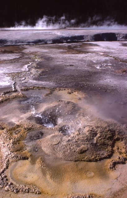 Black Sand Basin - Upper Geyser Basin Picture