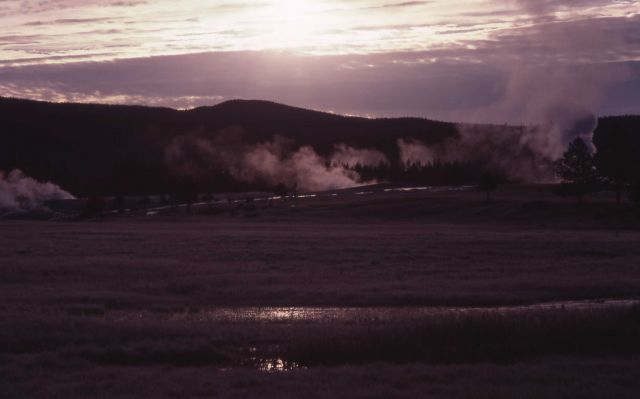 Upper Geyser Basin in early morning Picture