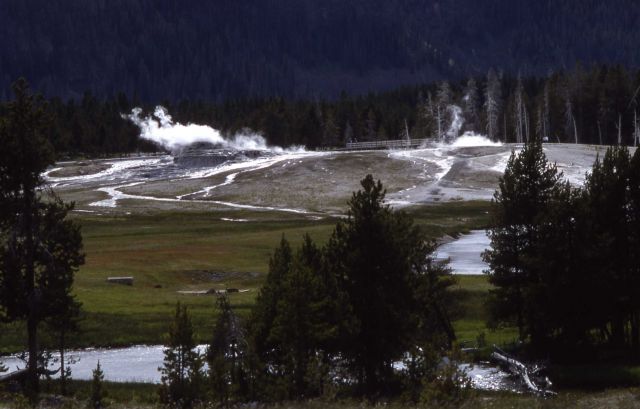 Upper Geyser Basin Picture