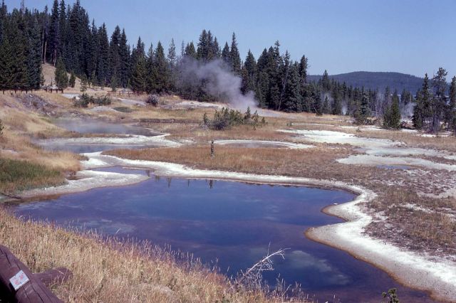 West Thumb Geyser Basin hot pool Picture
